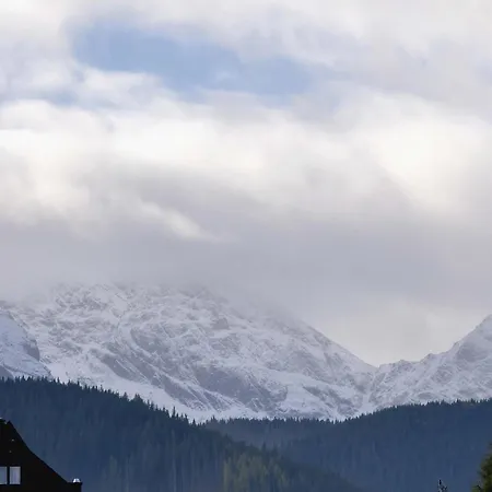 Lejlighed Three Cubs By Renters Prestige Zakopane